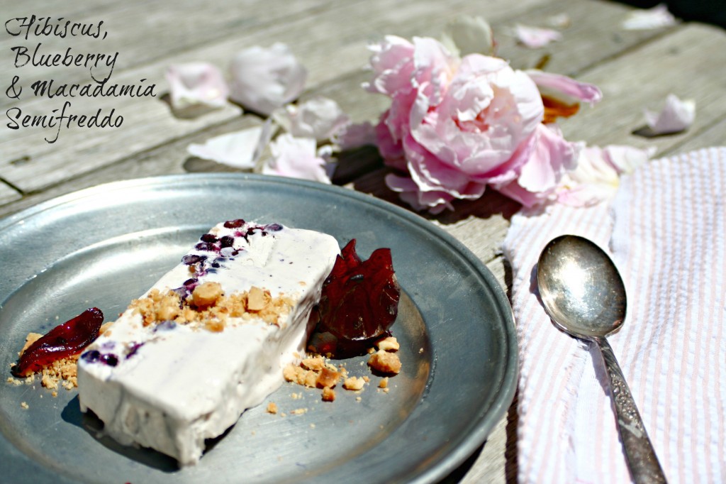 Wild-Hibiscus-Semifreddo