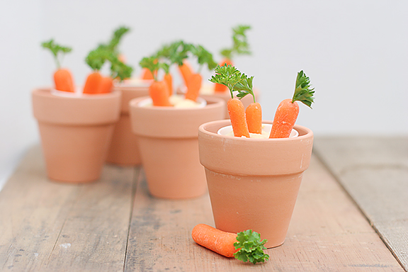 Carrot_Patches