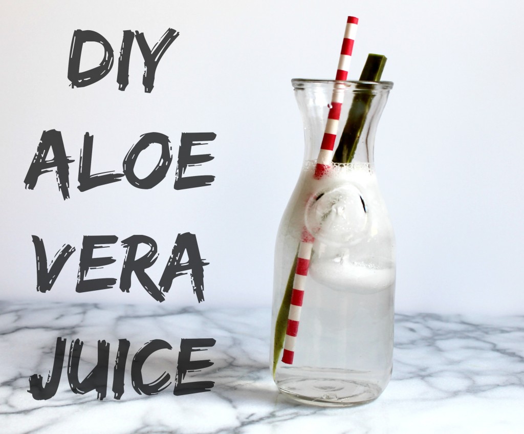 DIY Aloe Vera Juice 04