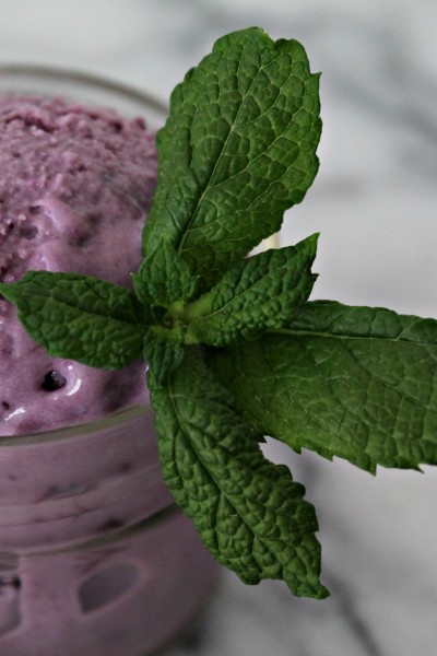 Blueberry buttermilk ice cream is the perfect end of summer treat! Get the recipe from cookingwithbooks.net