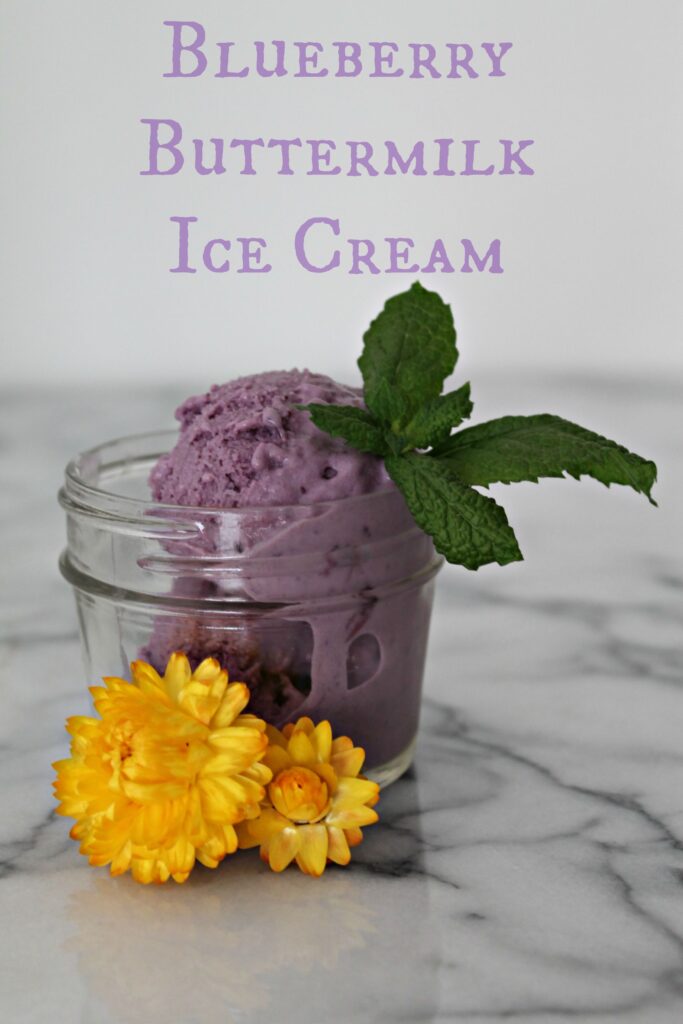 Blueberry Buttermilk Ice Cream - Get the recipe from Cooking with Books