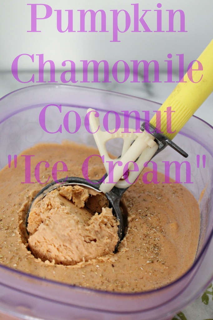 Pumpkin Chamomile Coconut Ice Cream 03