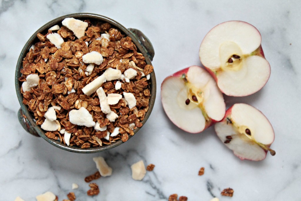 Apple Cinnamon Granola Recipe \\ Get the recipe for this homemade, healthy snack on CookingWithBooks.net