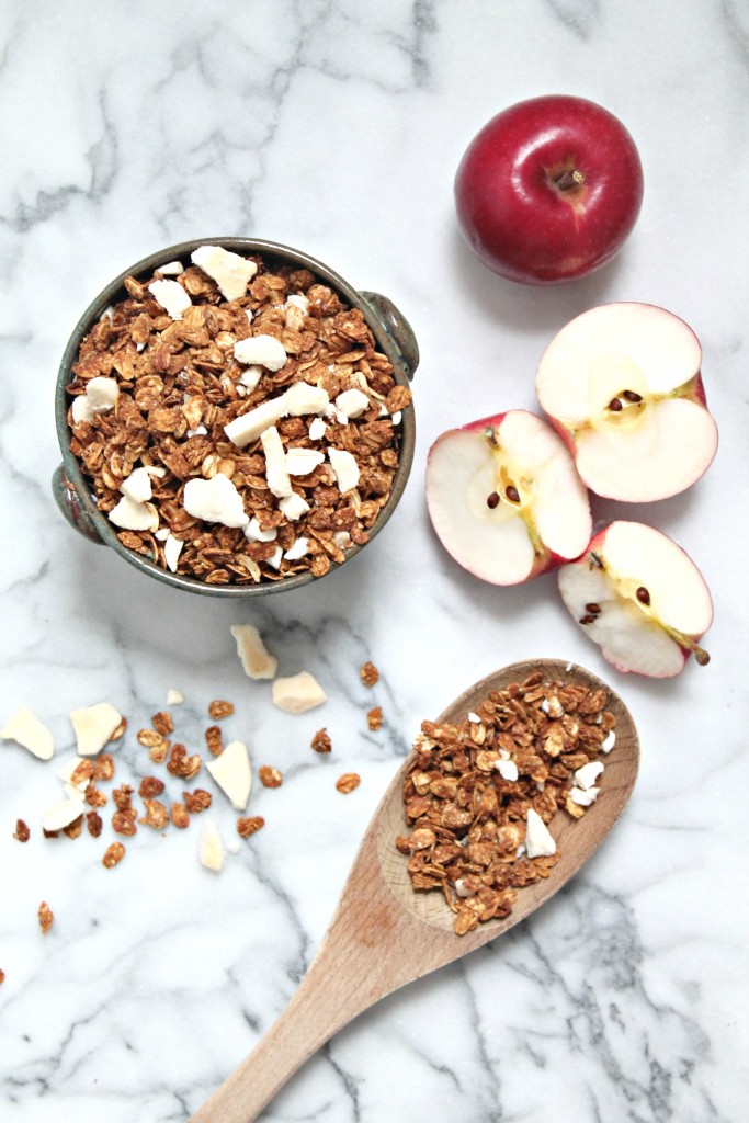 Apple Cinnamon Granola Recipe \ Get the recipe for this homemade, healthy snack on CookingWithBooks.net