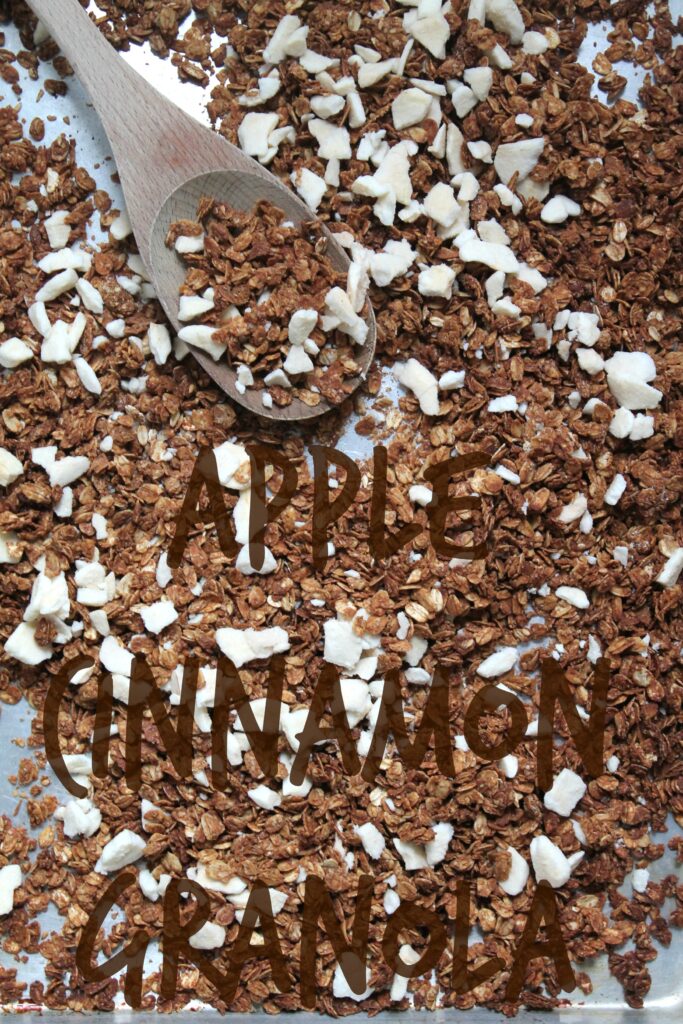 Apple Cinnamon Granola Recipe \ Get the recipe for this homemade, healthy snack on CookingWithBooks.net