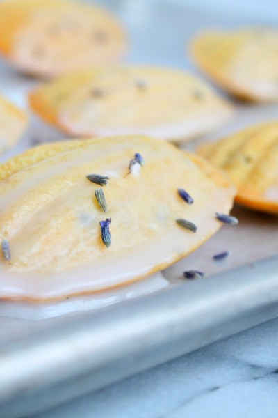 Lavender French Madeleines