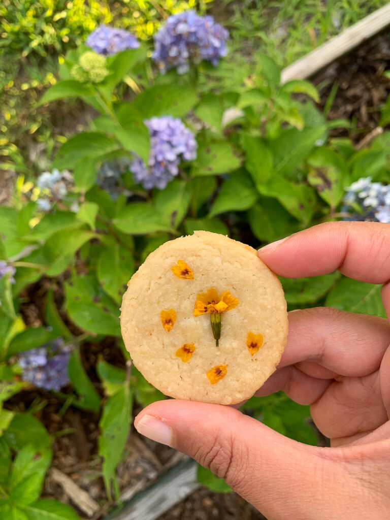 Edible Flower Cookies 20