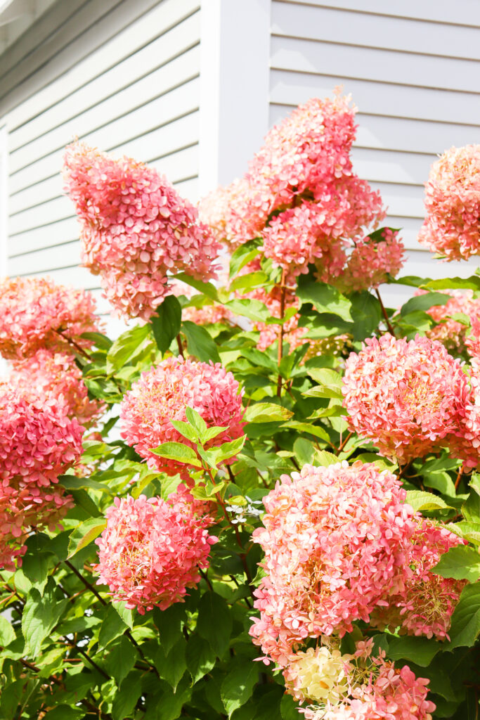 Nantucket by Marnely Murray 5088